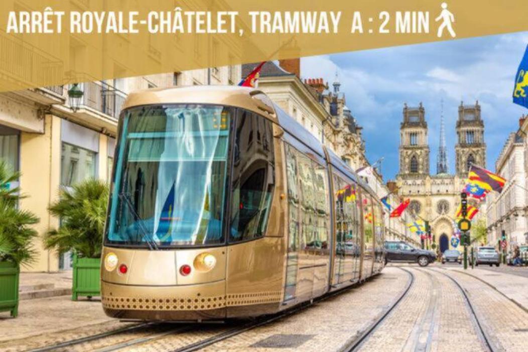 דירות אורליאן T2 Le Chatelet מראה חיצוני תמונה